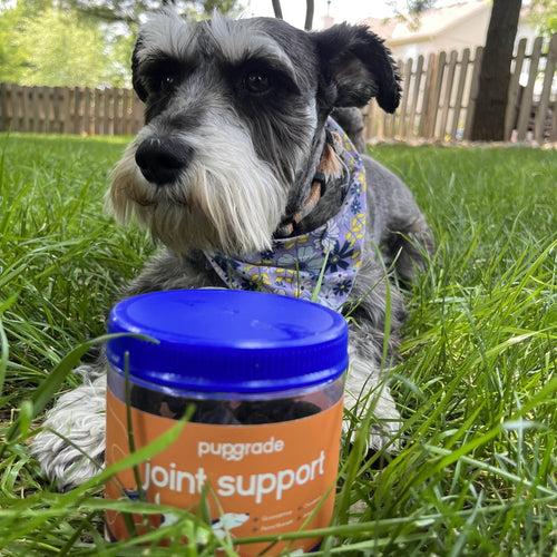 Customer review image