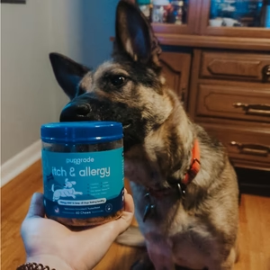 Customer review image