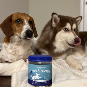 Customer review image