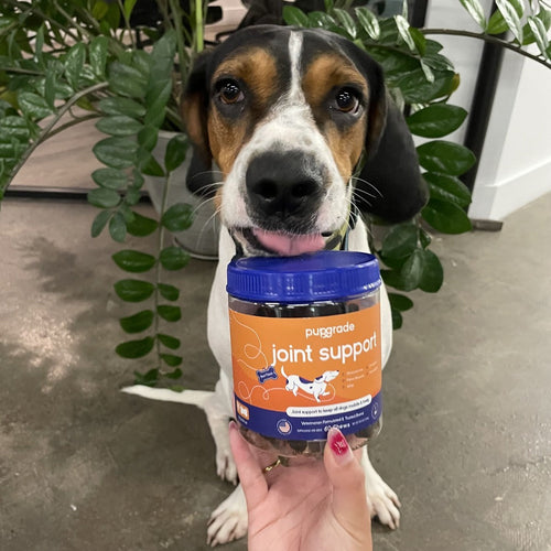 Customer review image