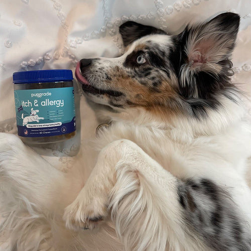 Customer review image