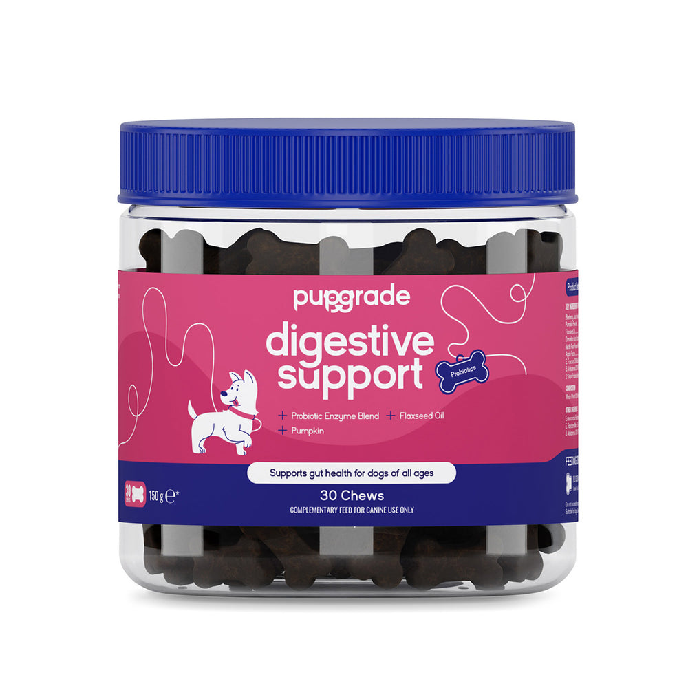 Digestive Support Jar
