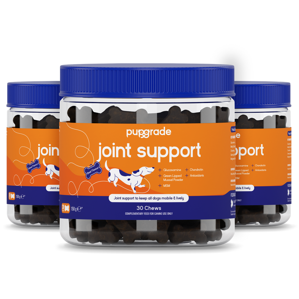 Joint Support Jars