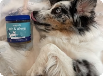 Customer review image