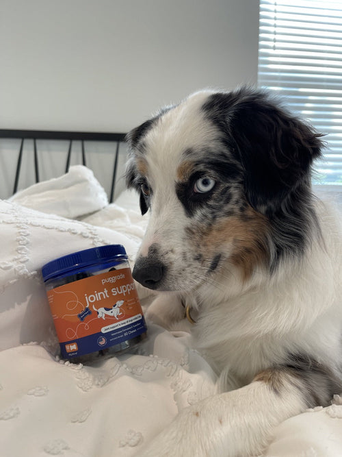 Customer review image